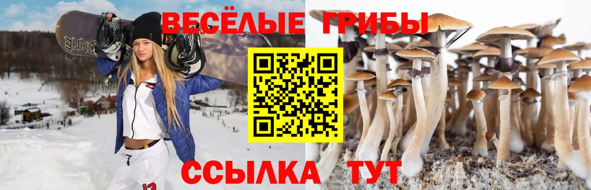 Галлюциногенные грибы мицелий  Вход с VPN  Галлюциногенные грибы прущие грибы  Борисоглебск 